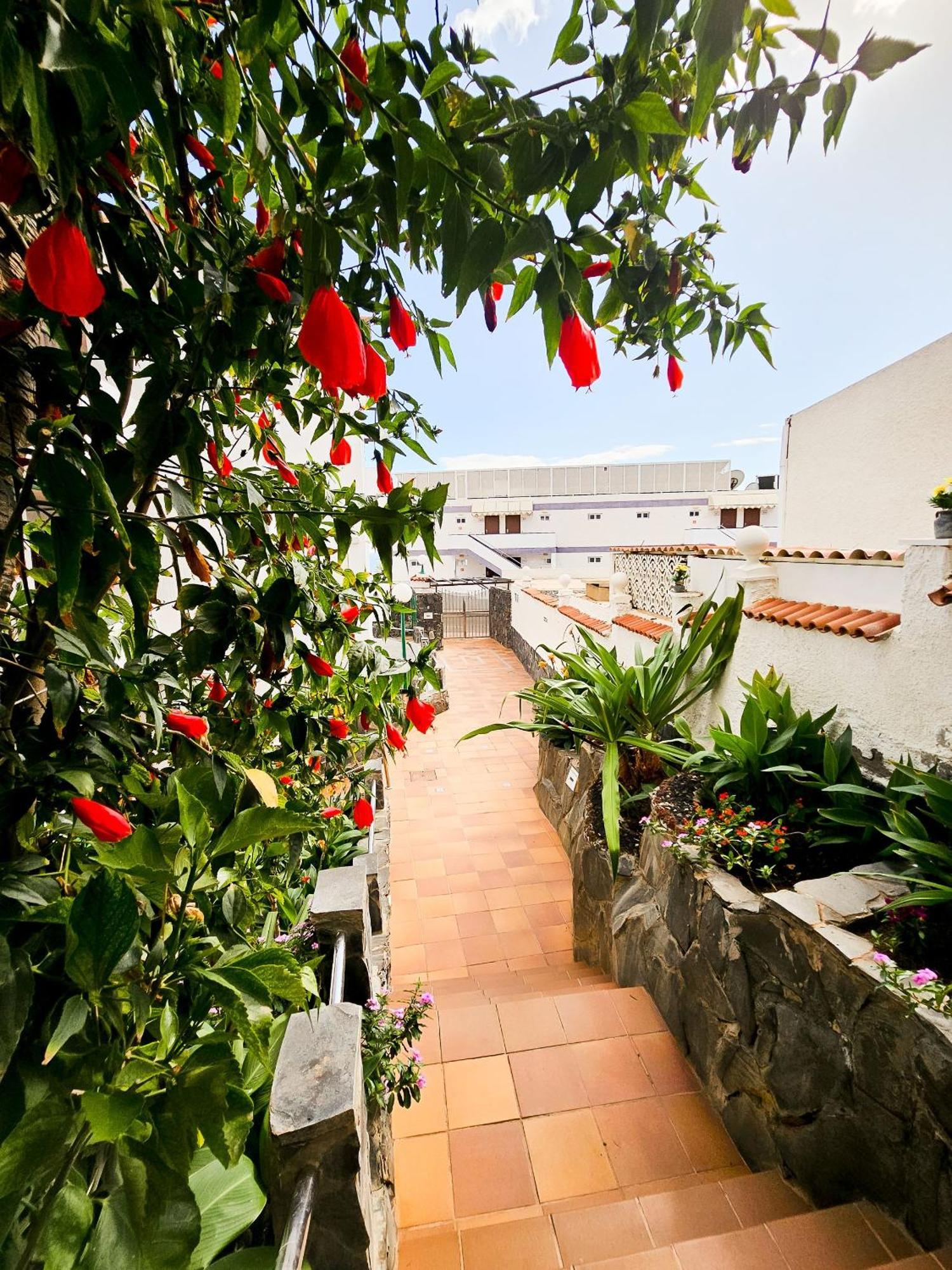 Refugio En El Mar Apartment San Agustin  Ngoại thất bức ảnh
